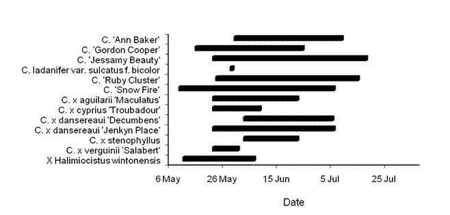 Blotched White Flowering Chart