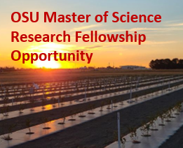 MS Research Fellowship Opportunities