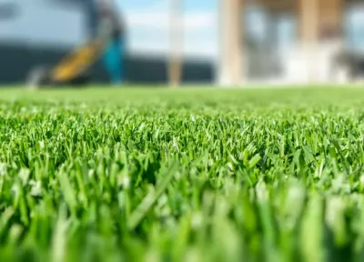 lawn. Photo: Adobe Stock