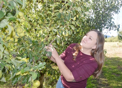 Kelsey Galimba looking at a pear tree