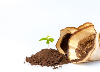 Coffee grounds. source Adobe Stock