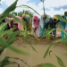 row of women planting in the Sahara Desert. Credit: Andrew Millison